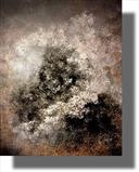 Haze by lisa vallo art, Painting, Mixed Media on Canvas