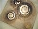 Fossil Fusion by lisa vallo art (3)
