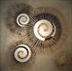 Fossil Fusion by lisa vallo art (7)