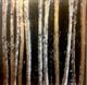 Urban Birch by lisa vallo art (1)